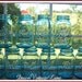 RESERVED for Jennifer Samin 15 Blue Ball Perfect Mason Jars Quart Size