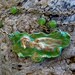 Altered Brass Mermaid Pendant with Green Glass