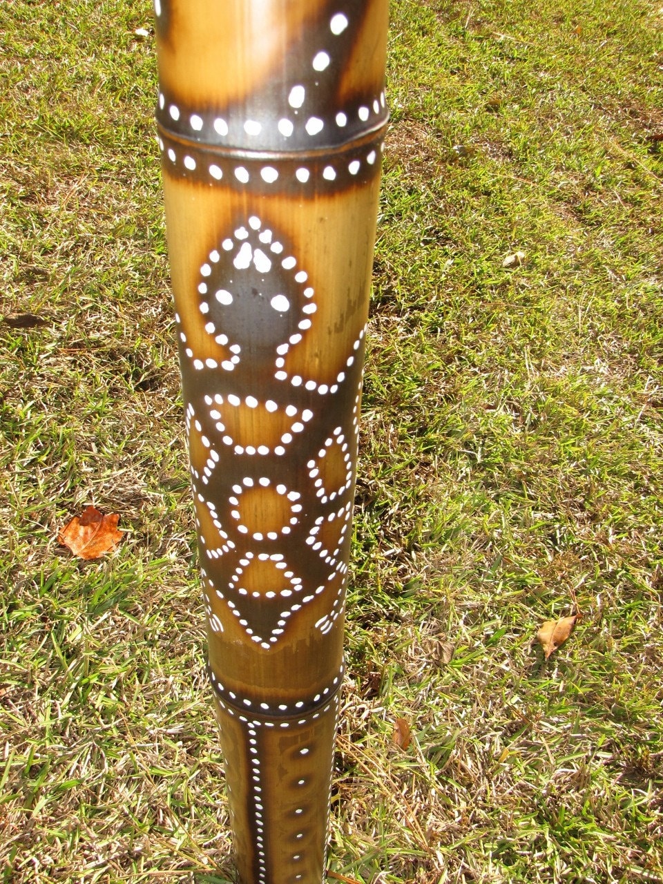 Didgeridoo's by Jennahfly Turtle