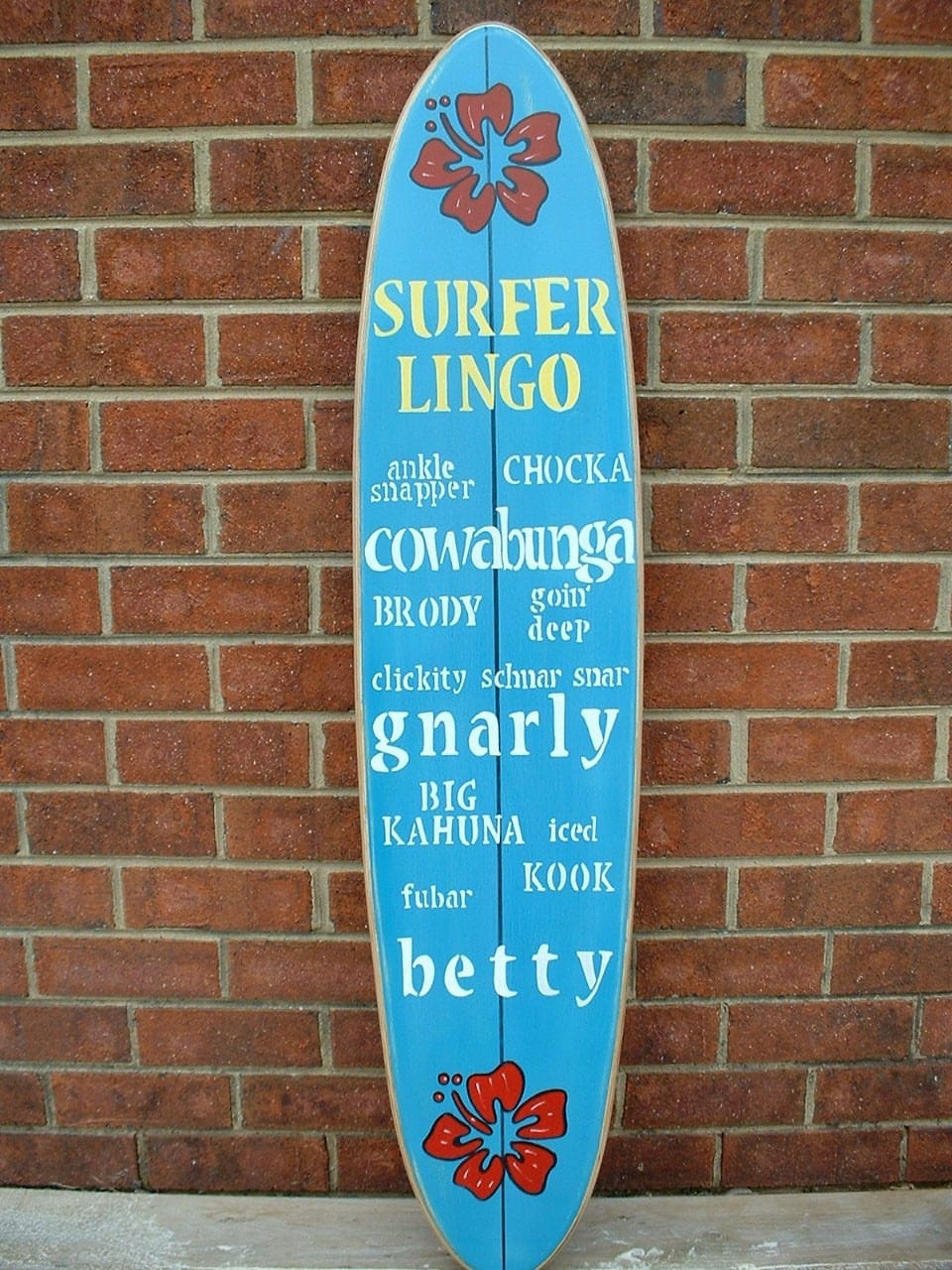 surfer lingo for hang ten
