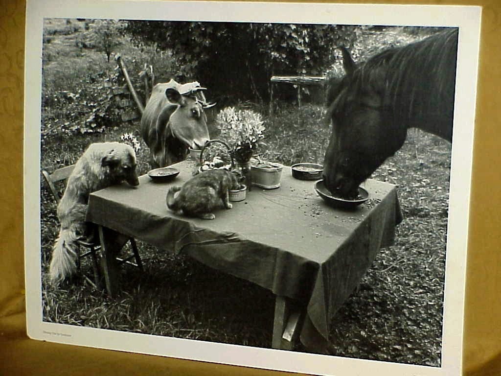 SALE Vintage Farm Yard Animals Poster Dining Out In Vermont