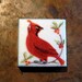 Enamel Pill Box Cardinal Bird