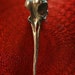 Hummingbird Skull Necklace in Silver