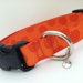 Medium Orange dots Dog collar
