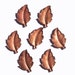 Copper 15mm x 10mm Leaf Blank - Leaves - Fall Greenery 3D shape