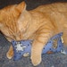 Kitty Body Pillow- Scaredy Cat