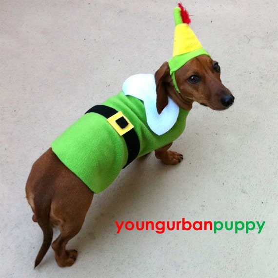 Buddy the ELF Costume for Dogs