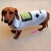 NINTENDO GAMEBOY Dog Costume