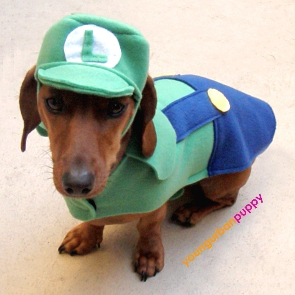 Mario Luigi Dog Costume
 LUIGI NINTENDO Dog Costume