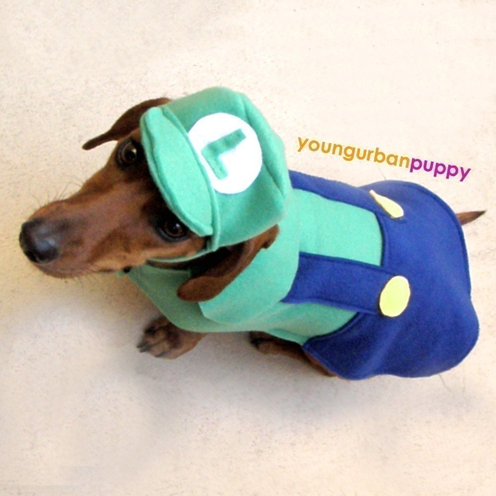 LUIGI NINTENDO Dog Costume