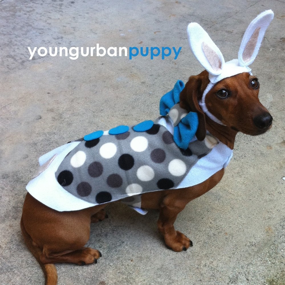 Easter Bunny Spring Costume for Dogs