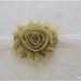 Shabby chic collection . lime frilly bloom