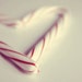 Christmas Photograph - candy canes heart shape red white stripes Christmas 5x5 home decor