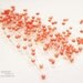 Beaded Spray - 24 Pieces - 4 inches long - Coral Pearls