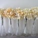 Set of Five Vintage Clear Glass Bud Vases - Instant Collection