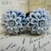 Flower Plugs-Navy Blossoms-pick your size-fits up to 1/2g 12mm