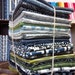 Fat Quarter Bundle of Parson Gray Curious Nature Entire Collection 24 Total