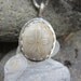 Rustic Ocean Relic Fossilized Sand Dollar Necklace
