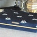 Silk Covered Jewel Box- Man Cave