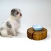 Pet Feeding Tree Stump Dog Cat Sipper