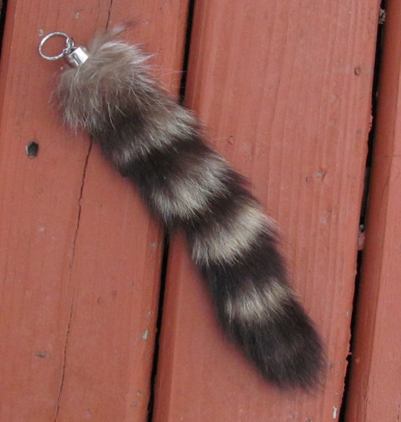 XL Real Fur Raccoon Tail Keychain   Il 570xN.242505917 