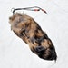 Real Large FinnRaccoon Tail Keychain