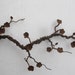 Rusty And Beautiful Flowering Barbed Wire Limb With Cherry Blossoms