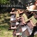 pdf WINGSofaBIRDIE pattern and tutorial....simple easy to make FUN Costume Cape