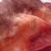 Terra Rosa Mulberry Silk Ocean spinning Scarf (fabric) for Nuno Felting