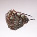 10 DOLLAR Flyaway Clearnace ROBIN Blue Ringneck Feather Headband