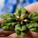 Set of 3 Shimmering Green Poinsettia Hair Clips