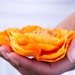 Tangerine Ranunculus Hair Clip