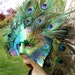 Peacock Mask Handmade Leather Mask With Real Feathers By Oakmyth