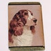Vintage Lot of 10 Playing Cards - Spaniel Dog Brown and White