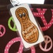 Peanut Allergy Alert bag tag, allergy alert tag by Toddle Tags