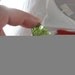 Rare Moldavite Specimen MD68