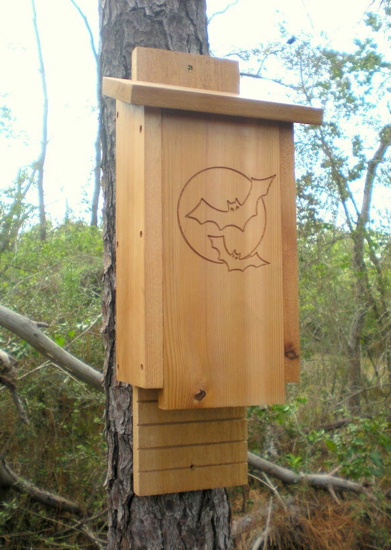 3 Chamber Cedar Bat House