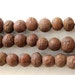 Natural genuine small size Bodhi seed beads - 30 beads