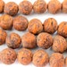 Large size bodhi seed beads from Nepal - 10 beads- NB008