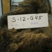 Border Leicester Romney Cross Raw Whole Fleece Sheep Fiber S 12 G45