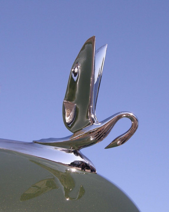 Items similar to 1949 Packard, Swan Hood Ornament 8x10 on Etsy