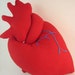 stuffed anatomical heart