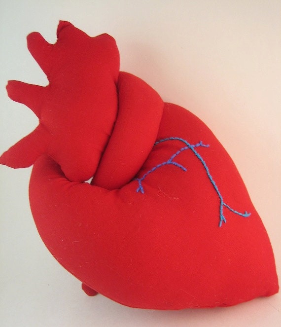 stuffed anatomical heart