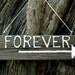 Rustic Salvaged Wood Signs for Gardens or Weddings