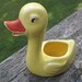 Cute little Ducky Planter or Bathroom Caddy