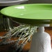 Cake Stand Cupcake Stand Pedestal Stand Wedding Decor Green Goddess By E. Isabella Designs. As Featured In Martha Stewart Weddings.