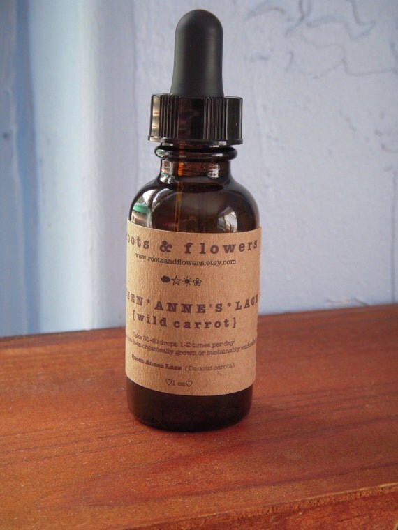 Queen Anne's Lace Contraceptive Tincture 2 oz Wild Carrot