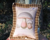 Mushroom Botanical Print Pin Cushion