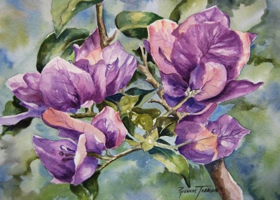 Bougainvillea purple Watercolor print ACEO 762 Tropical