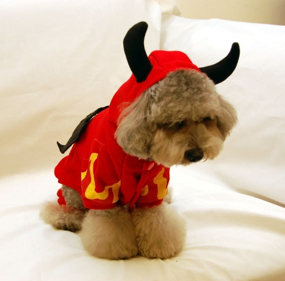 Devil Costume Outfit for Dogs and Pets Size by dukeandprincess